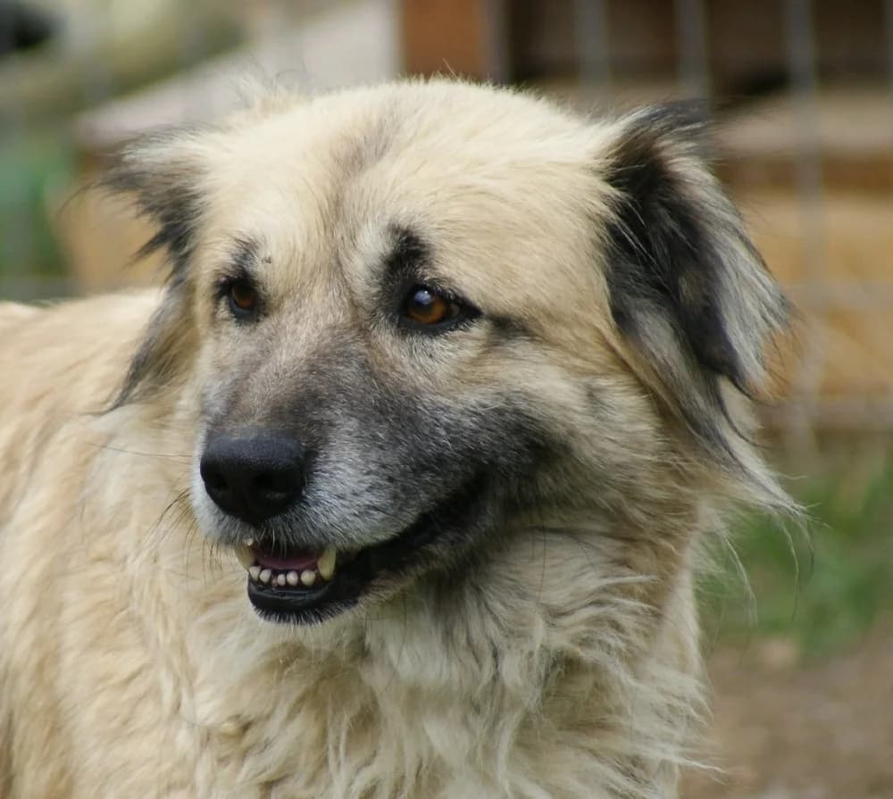 ❤️Lieve Peggy❤️ photo 2