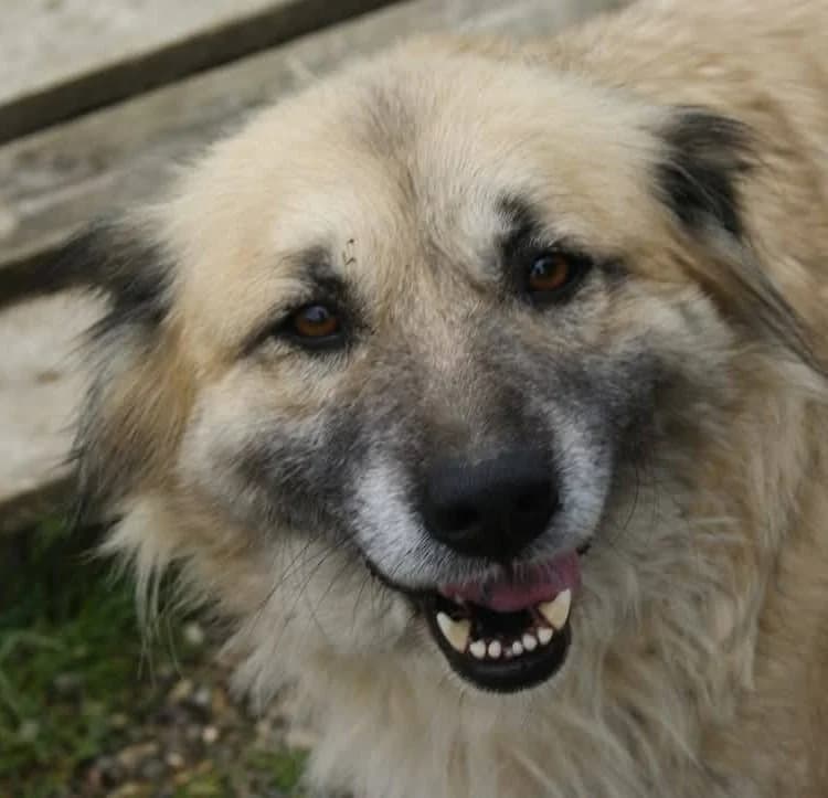 ❤️Lieve Peggy❤️ photo 3