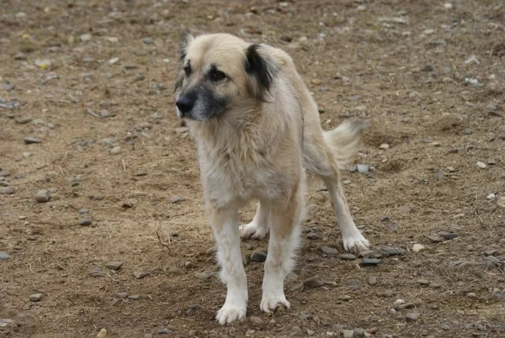 ❤️Lieve Peggy❤️ photo 4