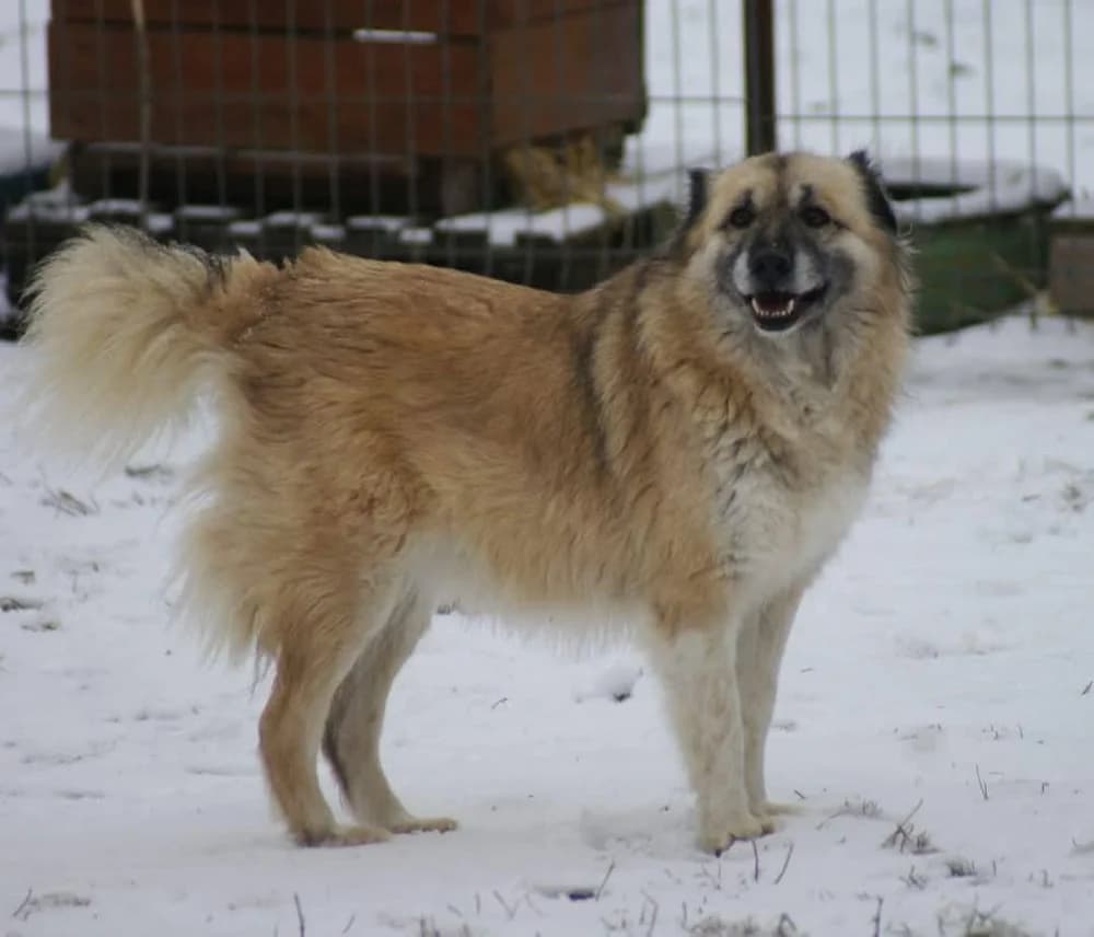 ❤️Lieve Peggy❤️ photo 5