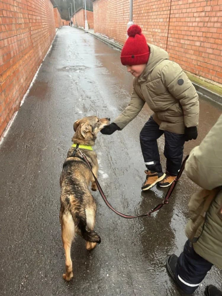 Lika danst door het leven photo 5