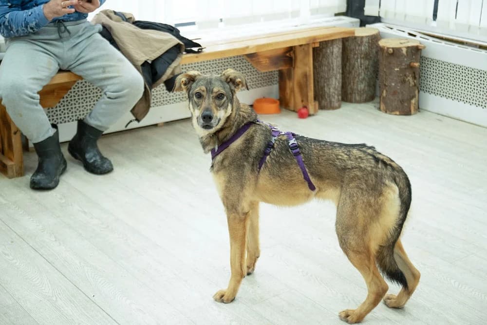 Lika danst door het leven photo 6