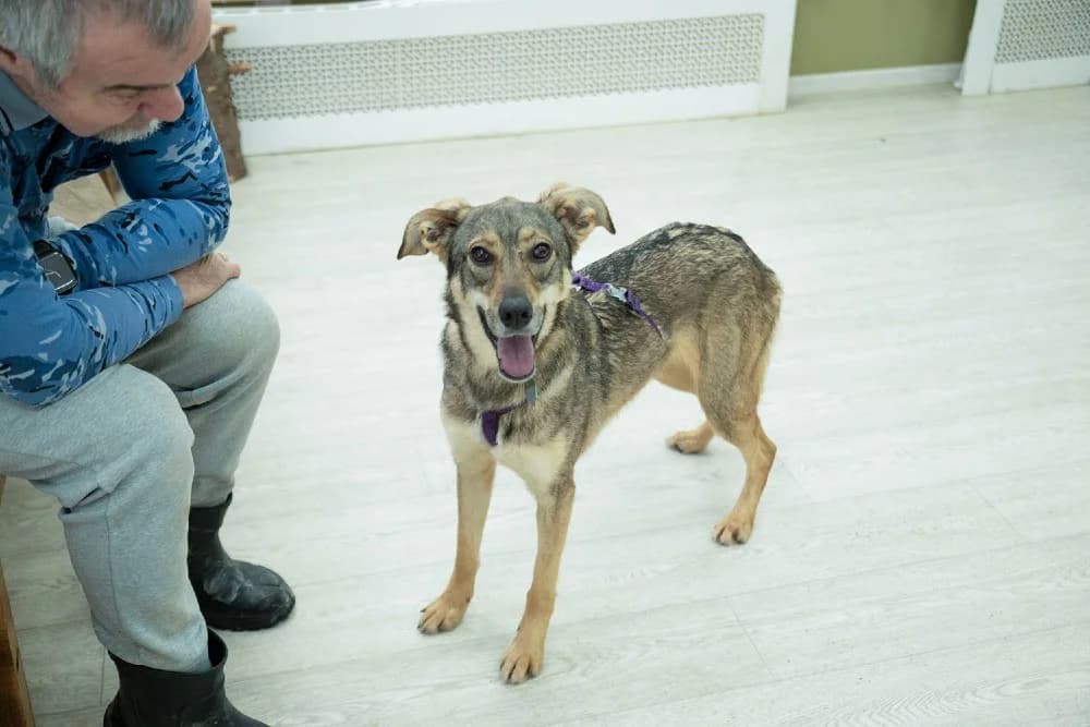 Lika danst door het leven