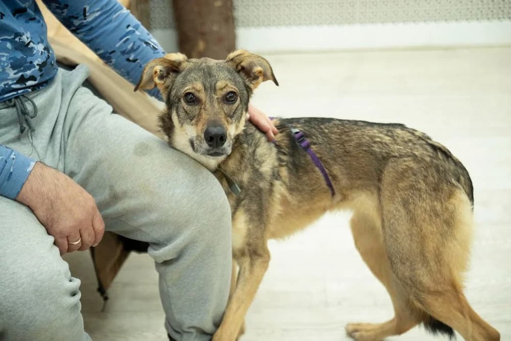 Lika danst door het leven photo 2