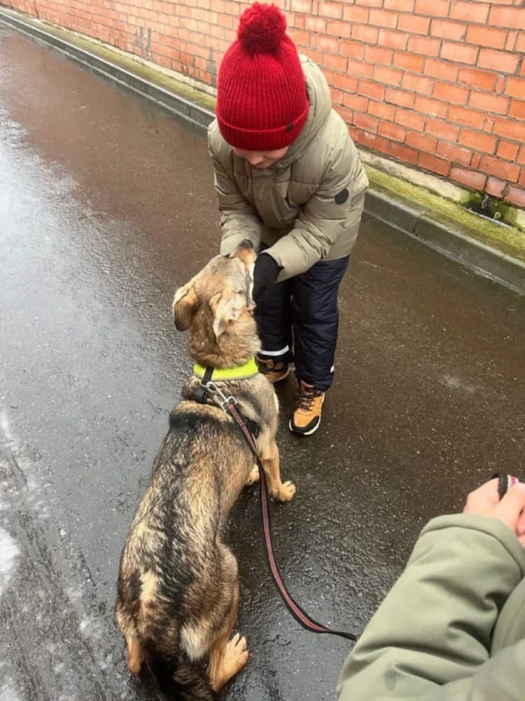 Lika danst door het leven photo 3