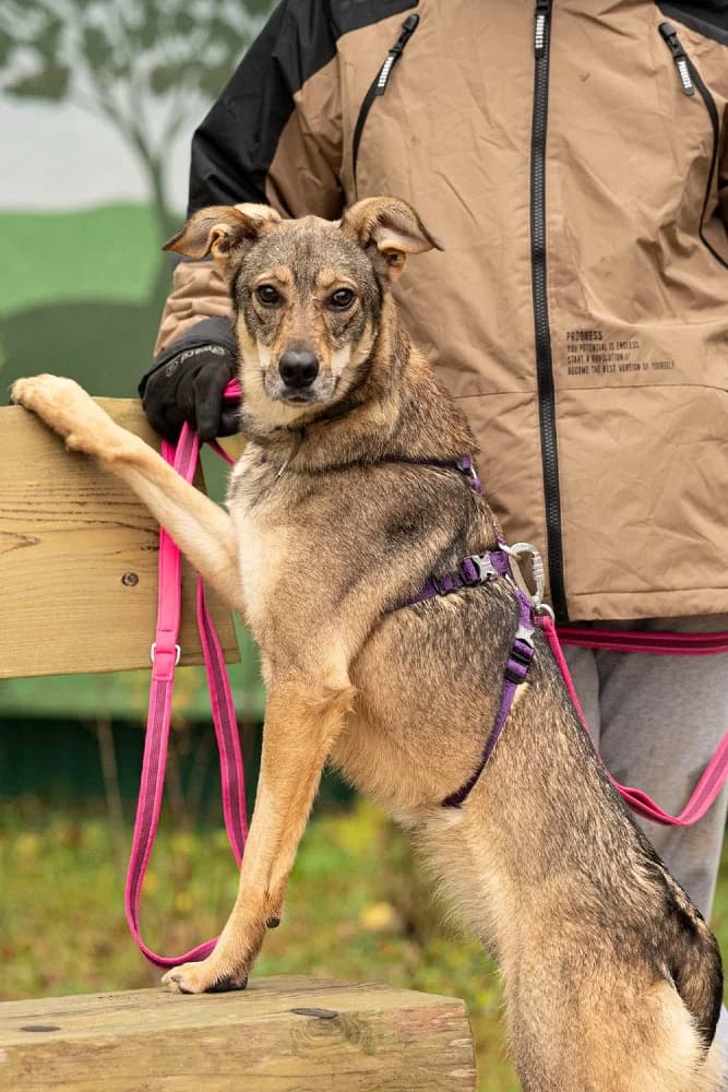 Lika danst door het leven photo 4