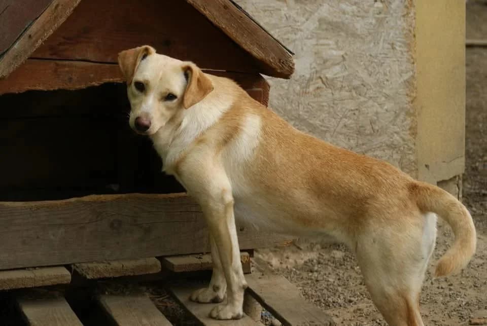 ❤️Lisa❤️ photo 6