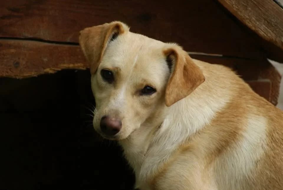 ❤️Lisa❤️ photo 8