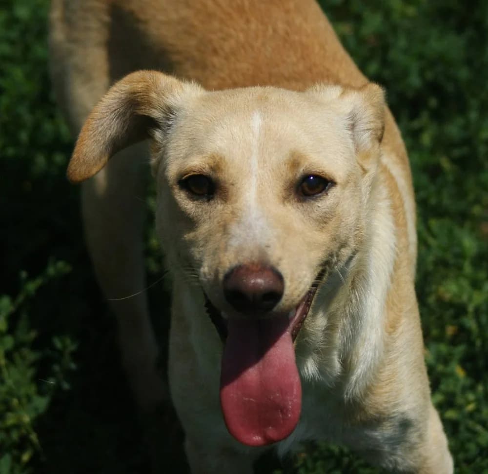 ❤️Lisa❤️ photo 2