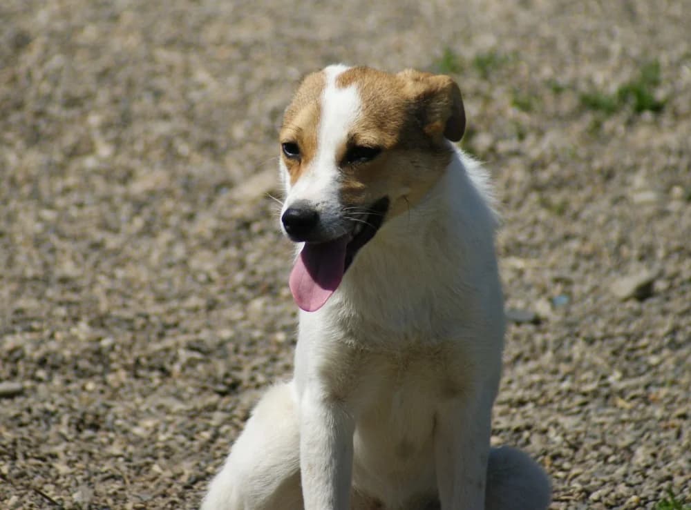 ❤️Lola❤️ photo 6