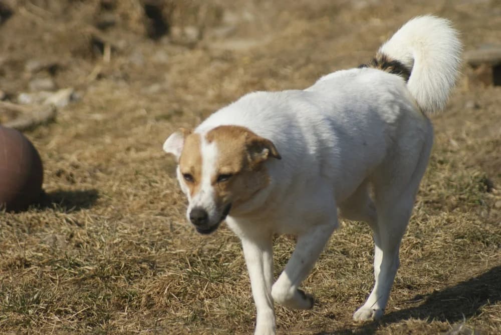 ❤️Lola❤️ photo 7