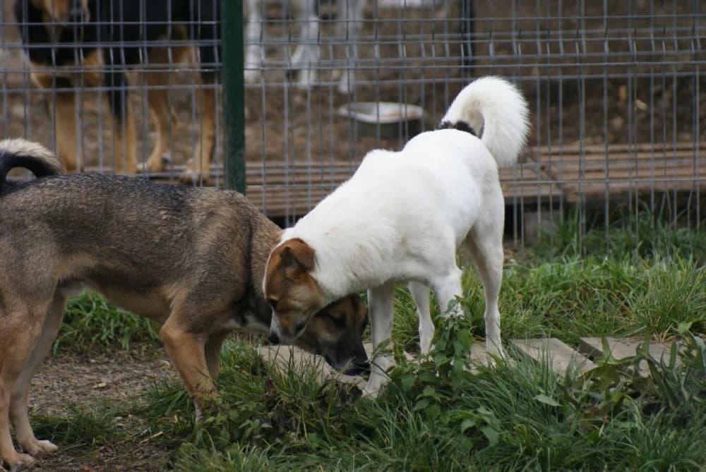 ❤️Lola❤️ photo 8