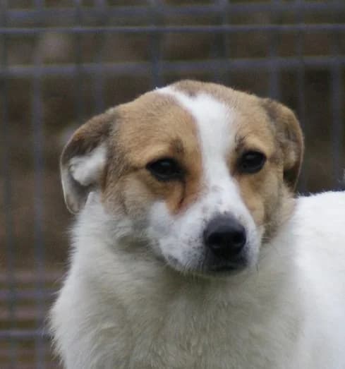 ❤️Lola❤️ photo 2