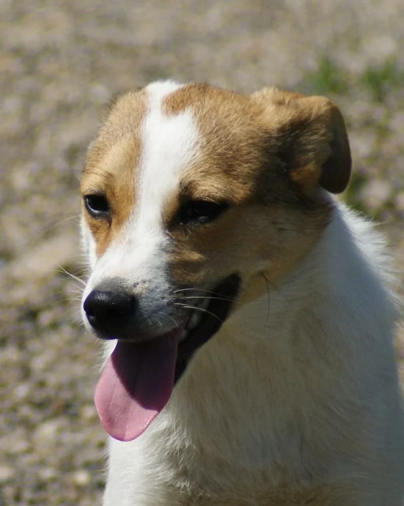 ❤️Lola❤️ photo 3