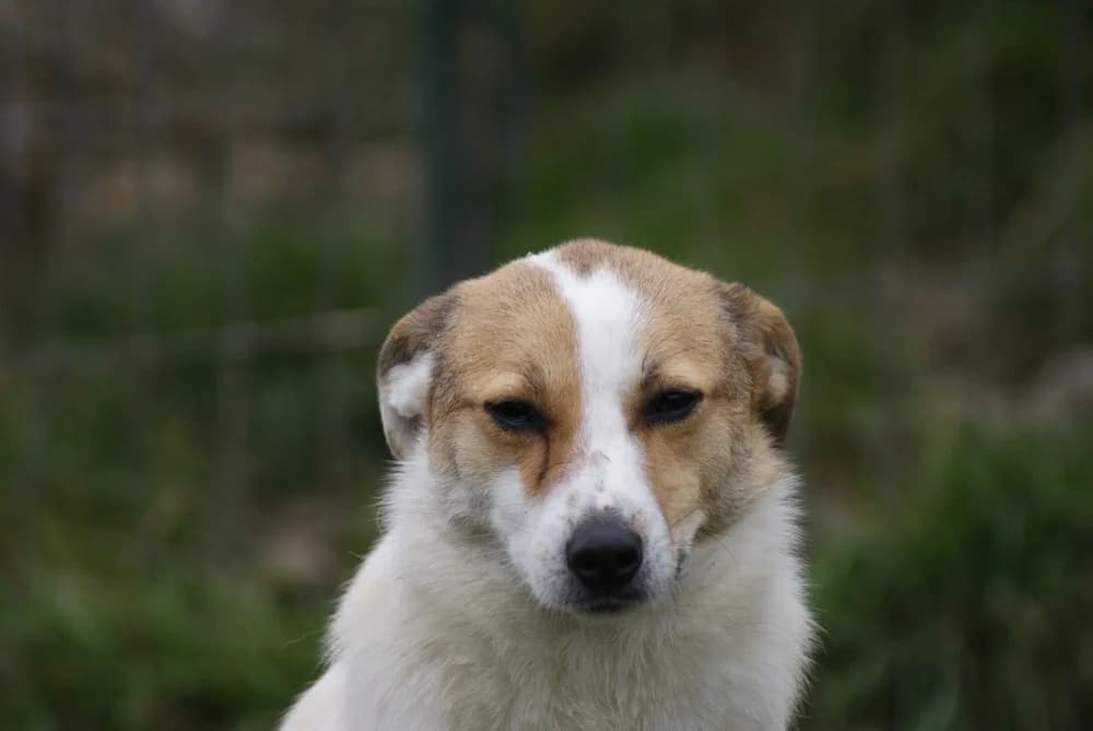 ❤️Lola❤️ photo 4