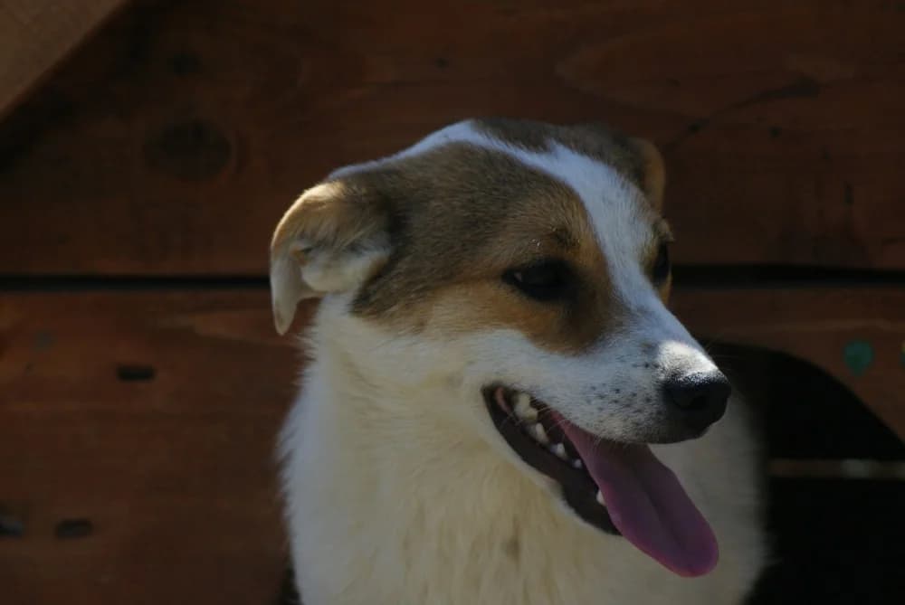 ❤️Lola❤️ photo 5