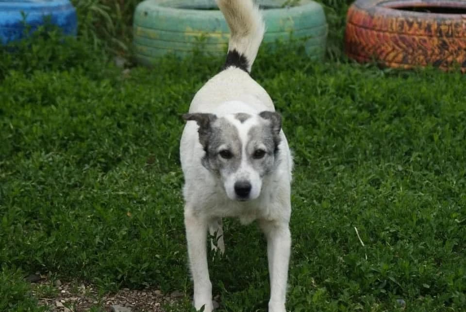 ❤️Lotte❤️ photo 6