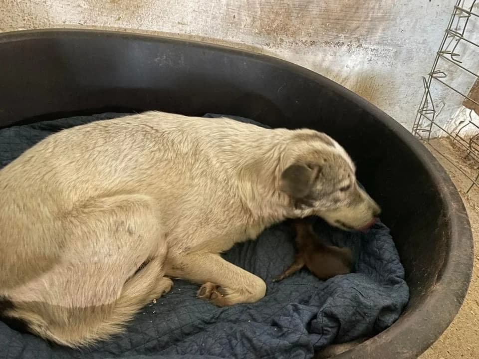 ❤️Lotte❤️ photo 7