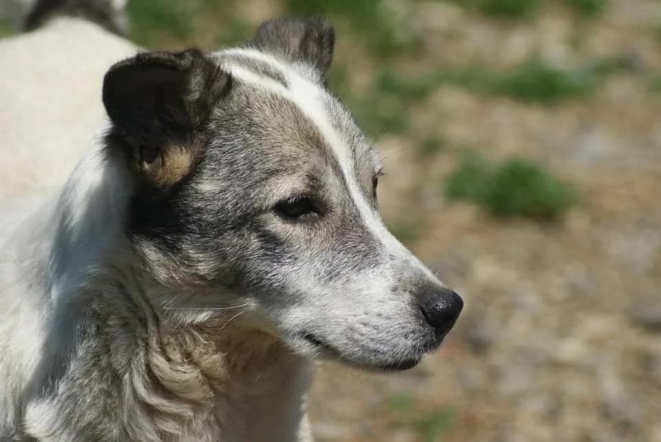 ❤️Lotte❤️ photo 8