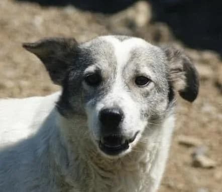 ❤️Lotte❤️ photo 2