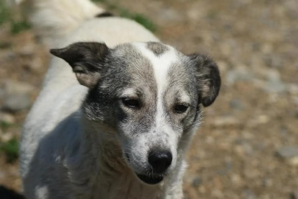 ❤️Lotte❤️ photo 3