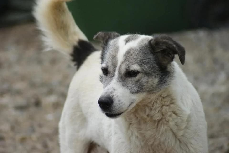 ❤️Lotte❤️ photo 4