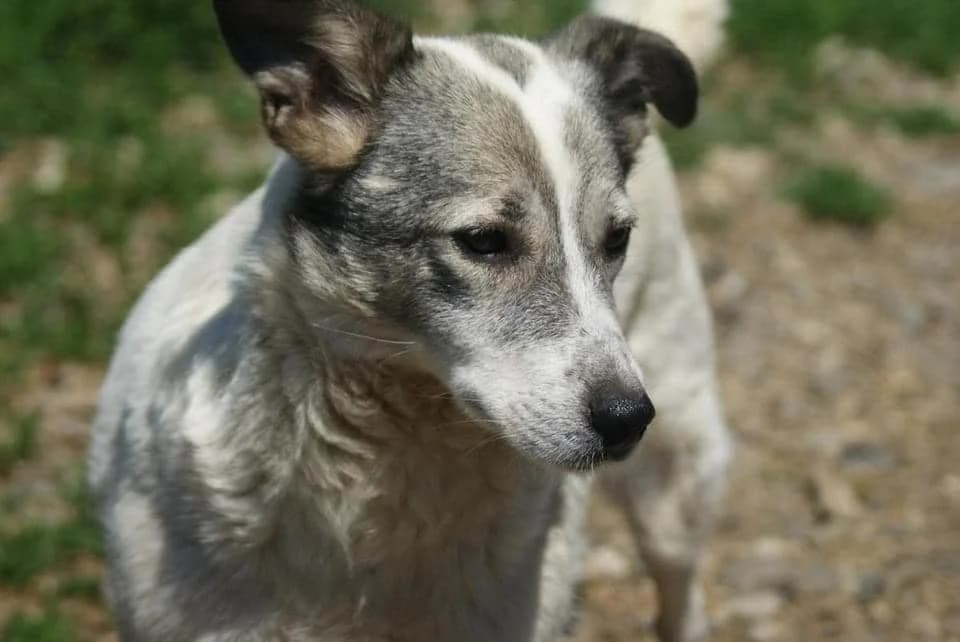 ❤️Lotte❤️ photo 5