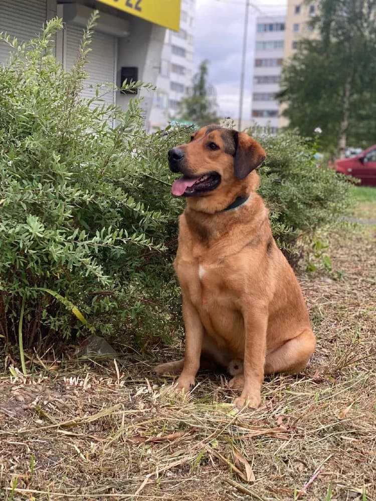 Lowie is een schatje photo 7