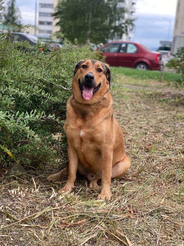Lowie is een schatje photo 8