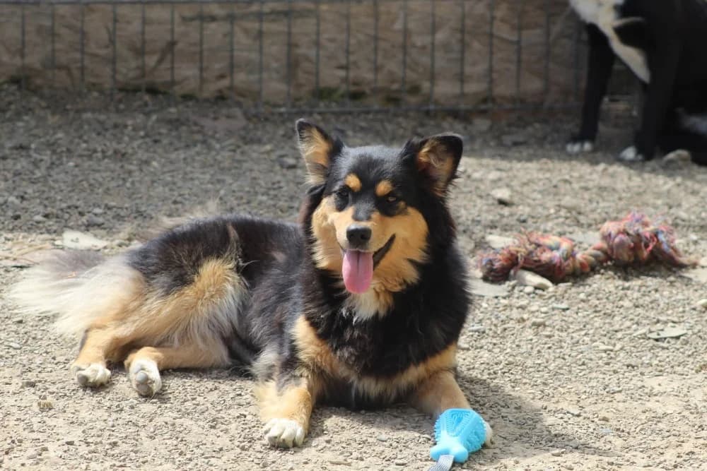 ❤️Luluta❤️ photo 2