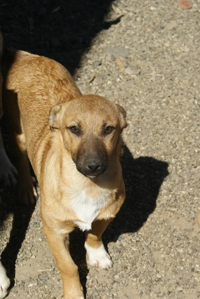 ❤️Lupin❤️ photo 7