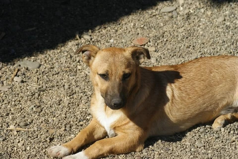 ❤️Lupin❤️ photo 8