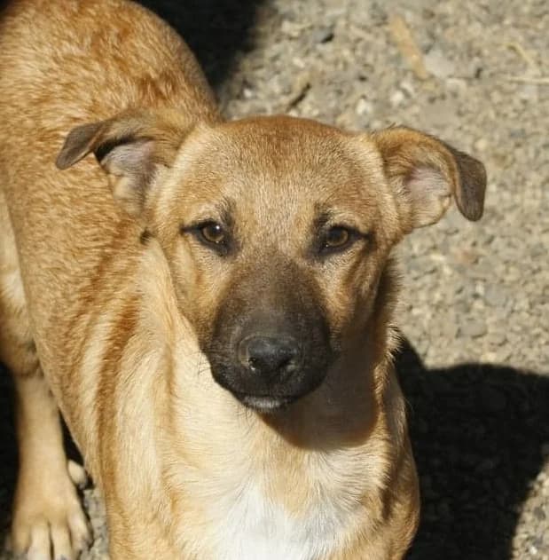 ❤️Lupin❤️ photo 2