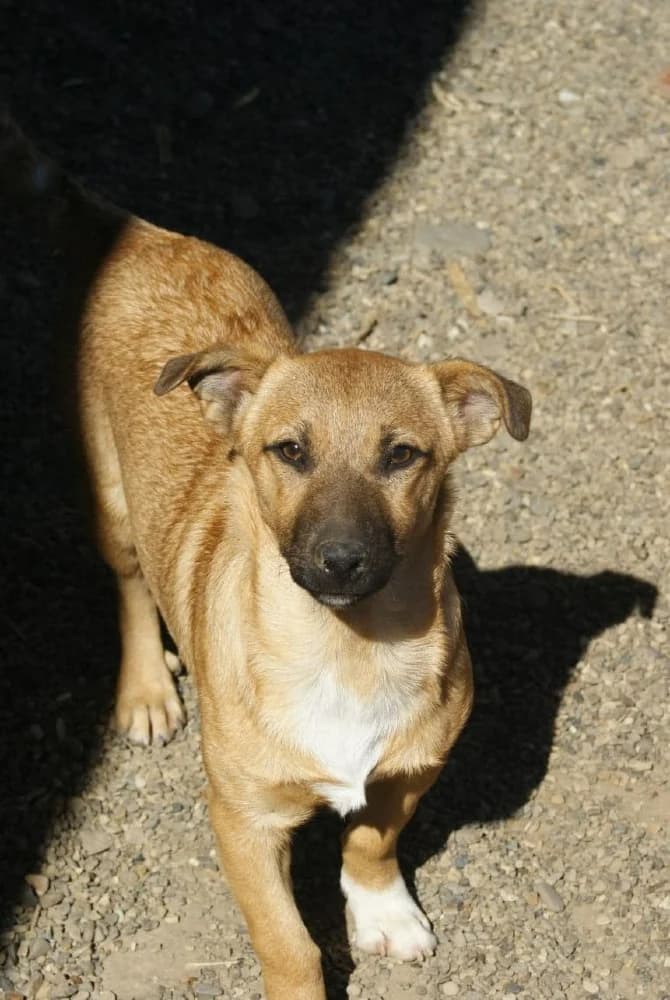 ❤️Lupin❤️ photo 3