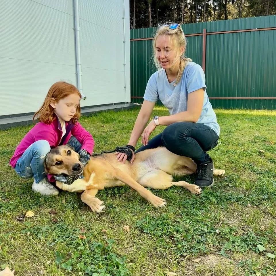 Lychee – jouw zonneschijn photo 4