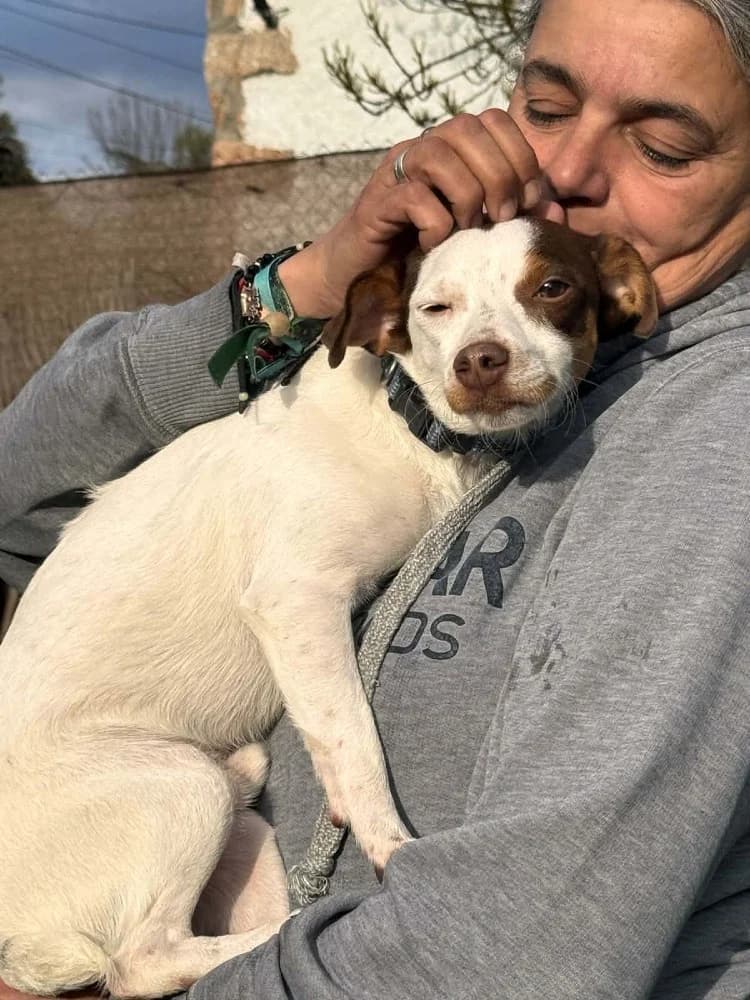 Mani BR (3 pootjes) photo 3