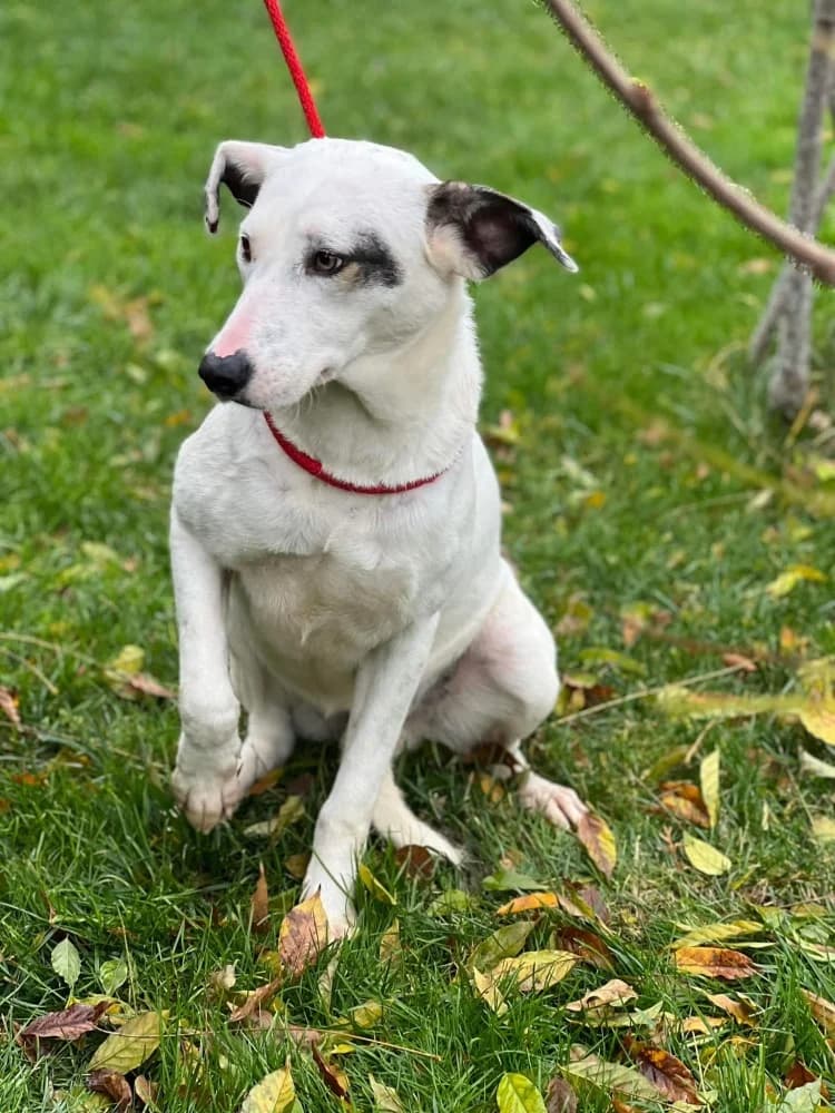 ❤️Marsha❤️ photo 6