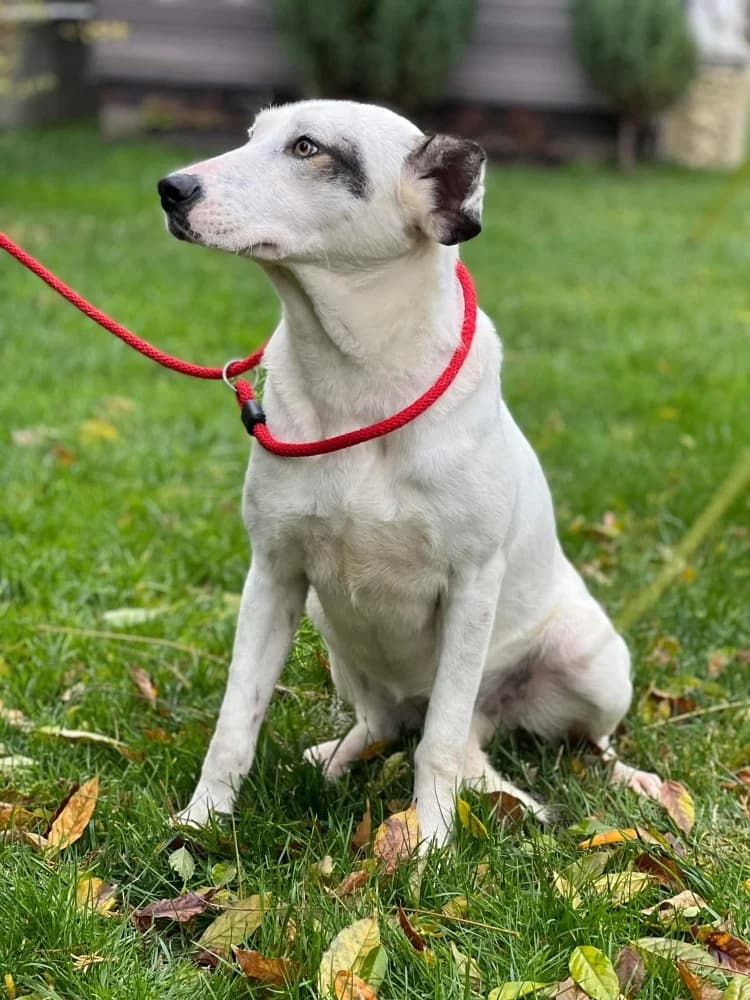 ❤️Marsha❤️ photo 7