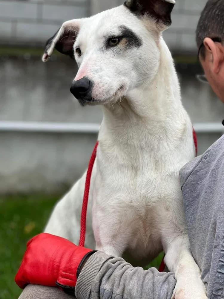 ❤️Marsha❤️ photo 8