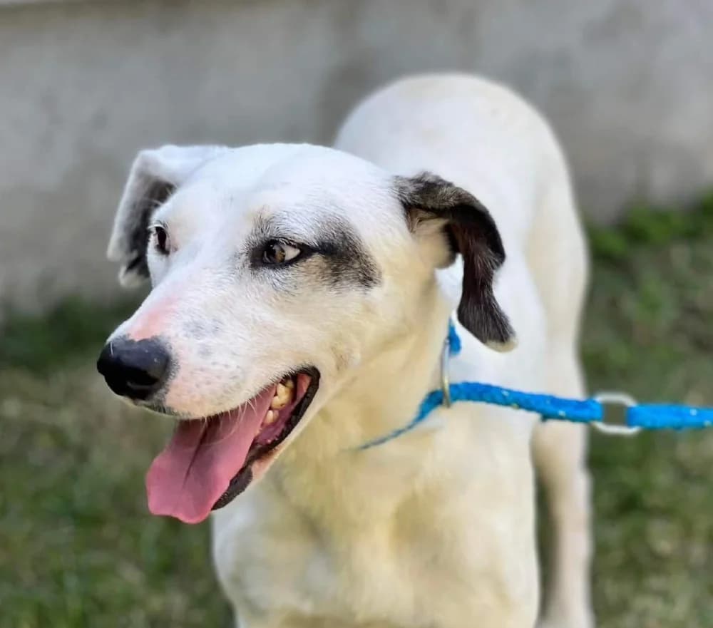 ❤️Marsha❤️ photo 2