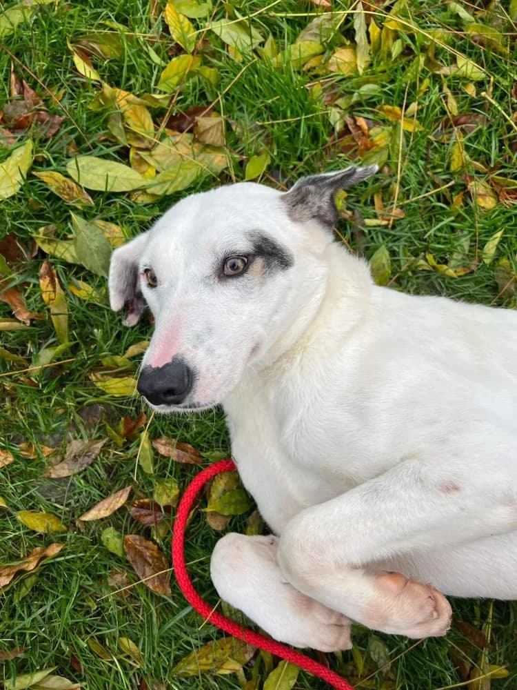 ❤️Marsha❤️ photo 3