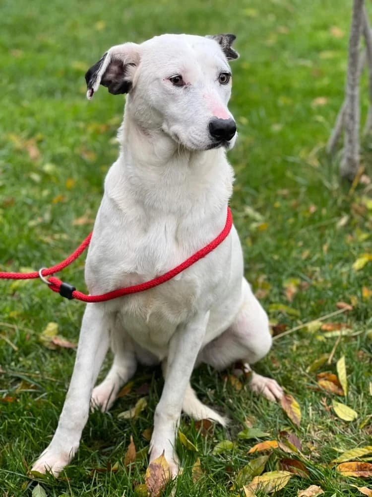 ❤️Marsha❤️ photo 4