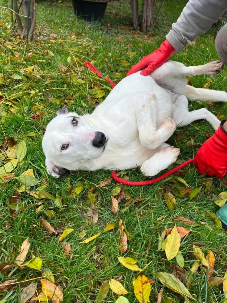 ❤️Marsha❤️ photo 5