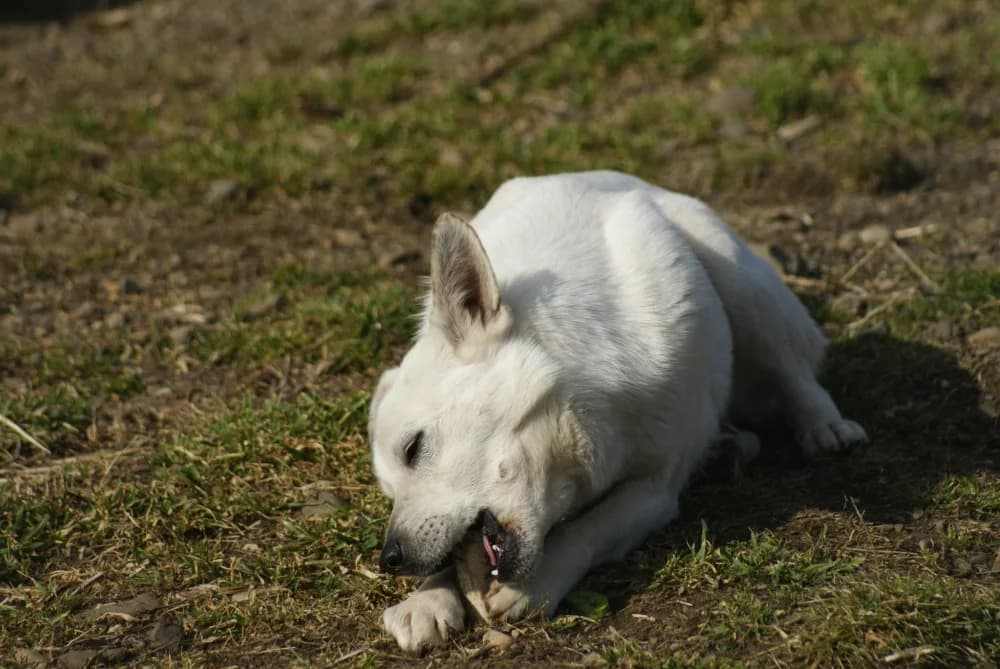 ❤️Marty❤️ photo 6