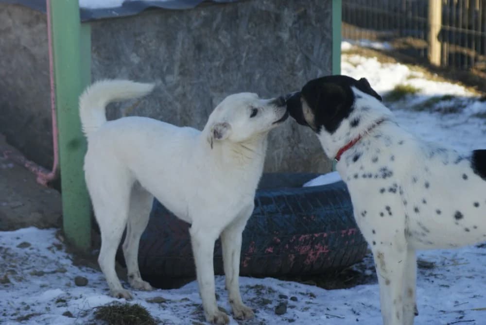 ❤️Marty❤️ photo 7