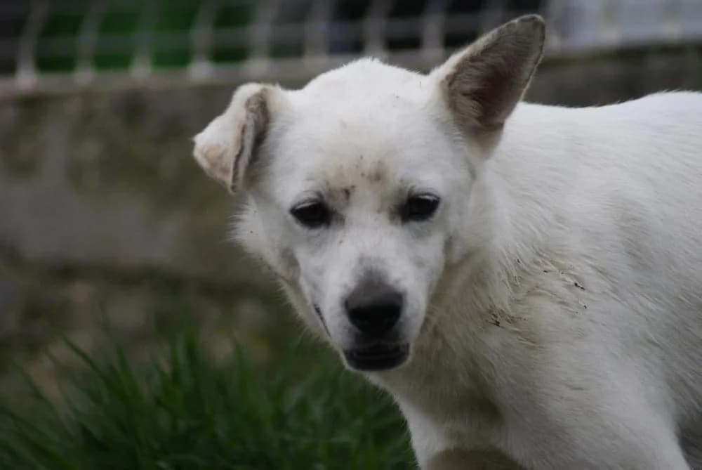 ❤️Marty❤️ photo 8