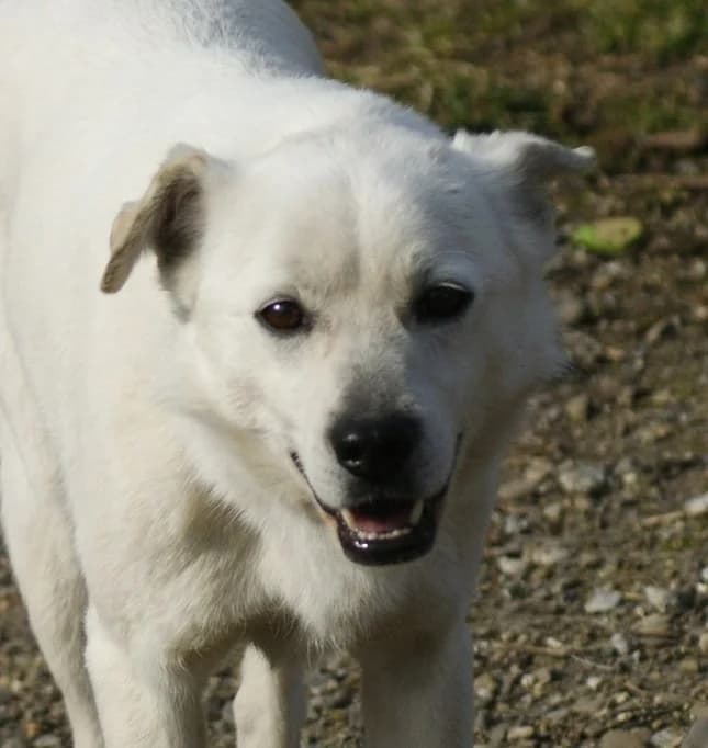 ❤️Marty❤️ photo 2