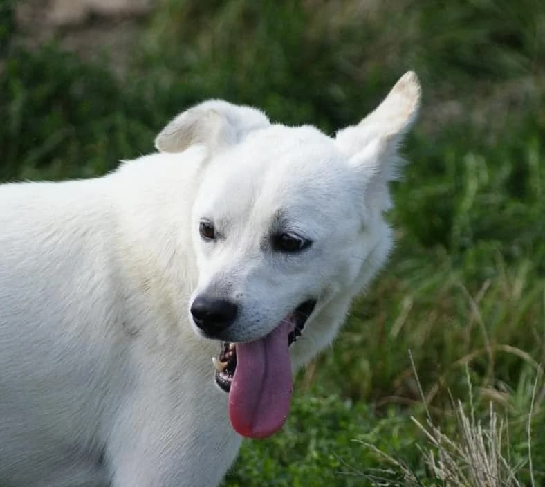 ❤️Marty❤️ photo 3