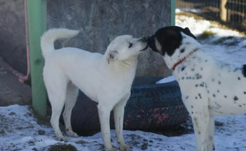 ❤️Marty❤️ photo 4