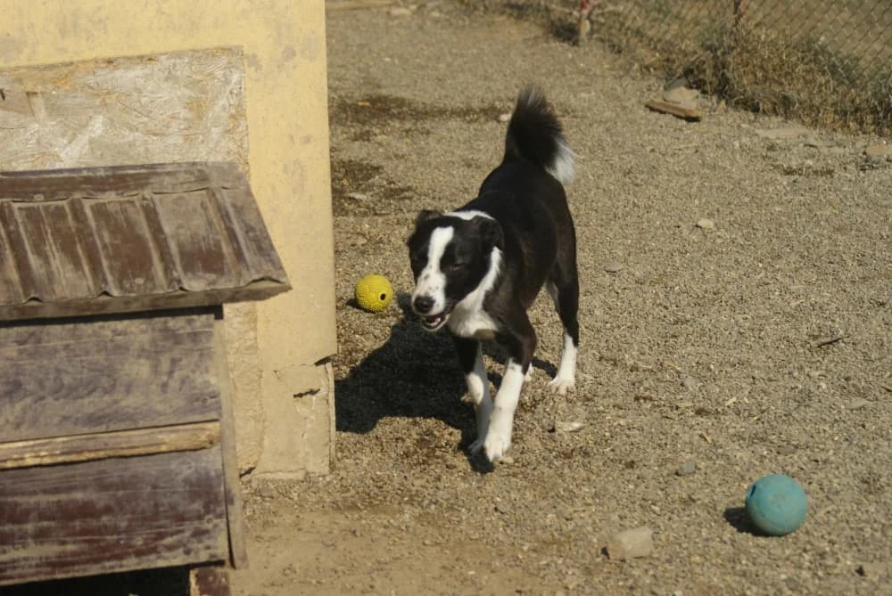 ❤️Medina❤️ photo 6